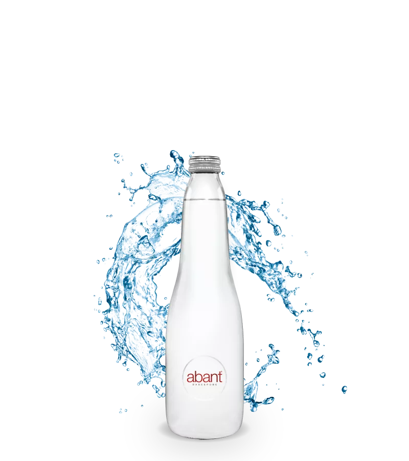 Abant Şişe Su